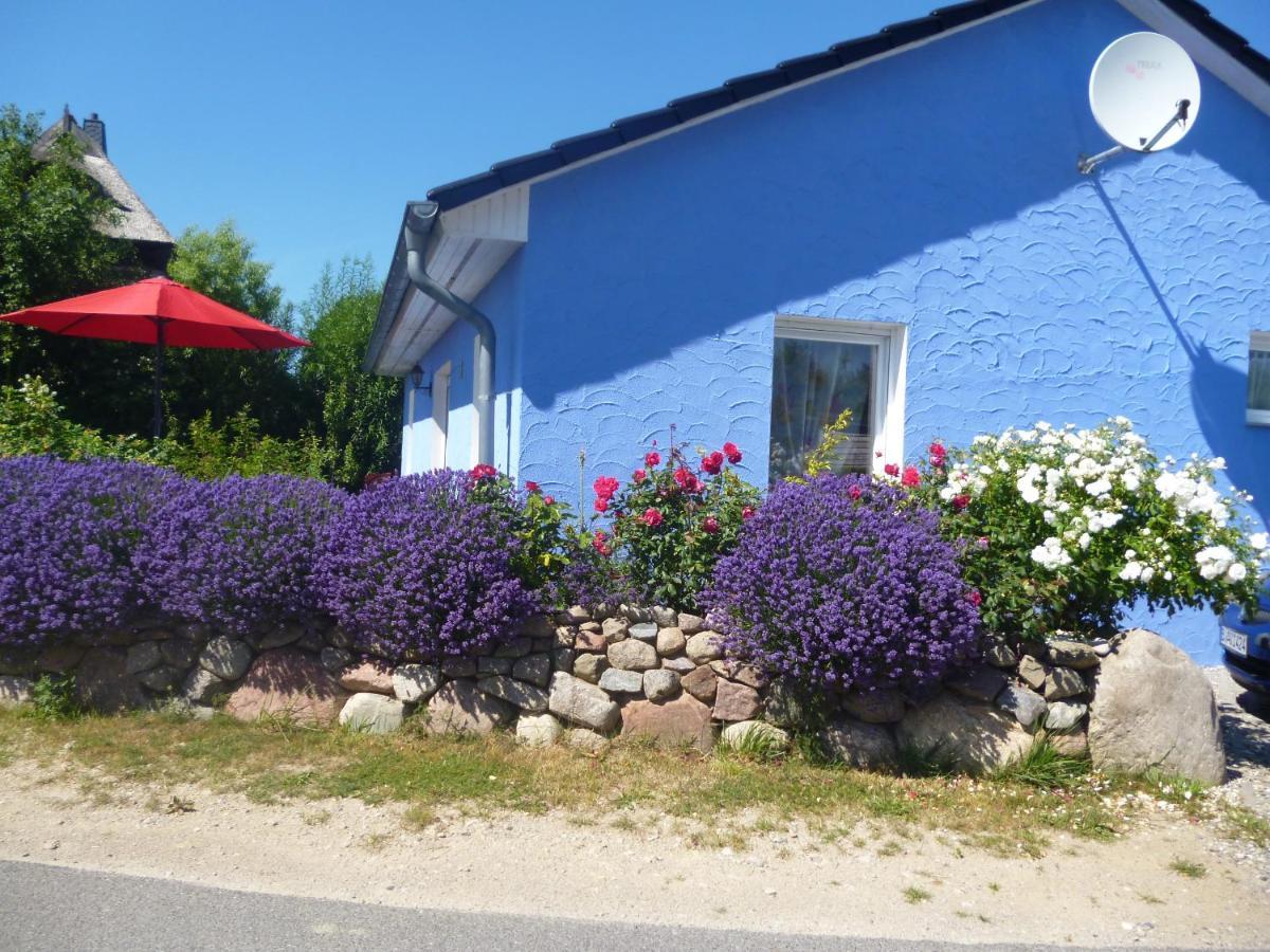 Вилла Haus Lavendel Lancken Экстерьер фото